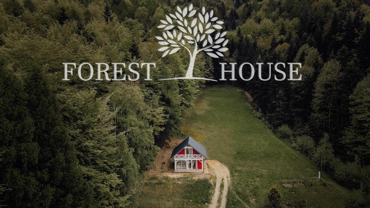 Forest House Targanice Exterior foto