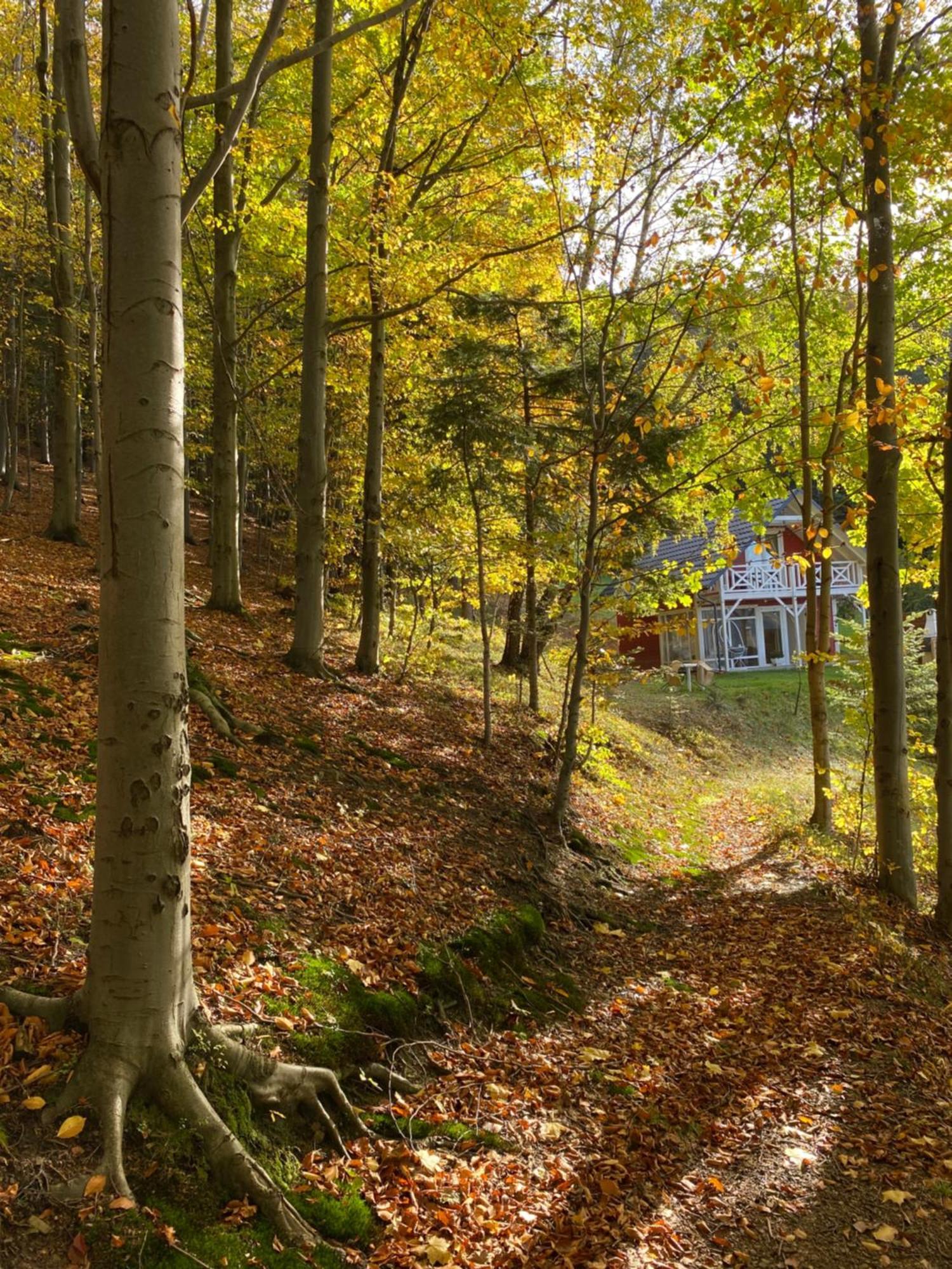 Forest House Targanice Exterior foto